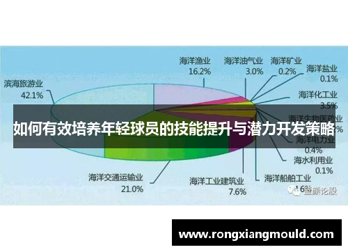如何有效培养年轻球员的技能提升与潜力开发策略 如何有效培养年轻球员的技能提升与潜力开发策略